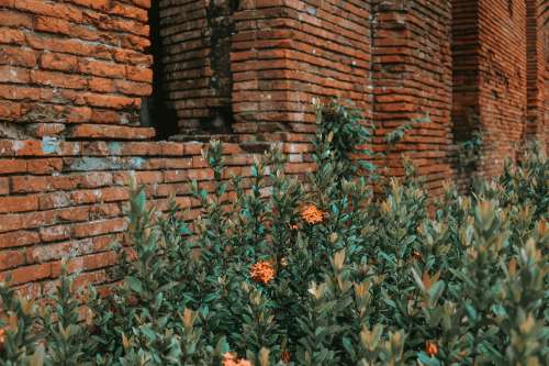 Red Bricks are Essential In Building Home